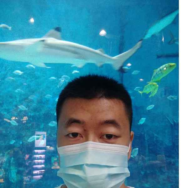 河北34岁单身帅哥真诚找对象-濮阳征婚相亲网